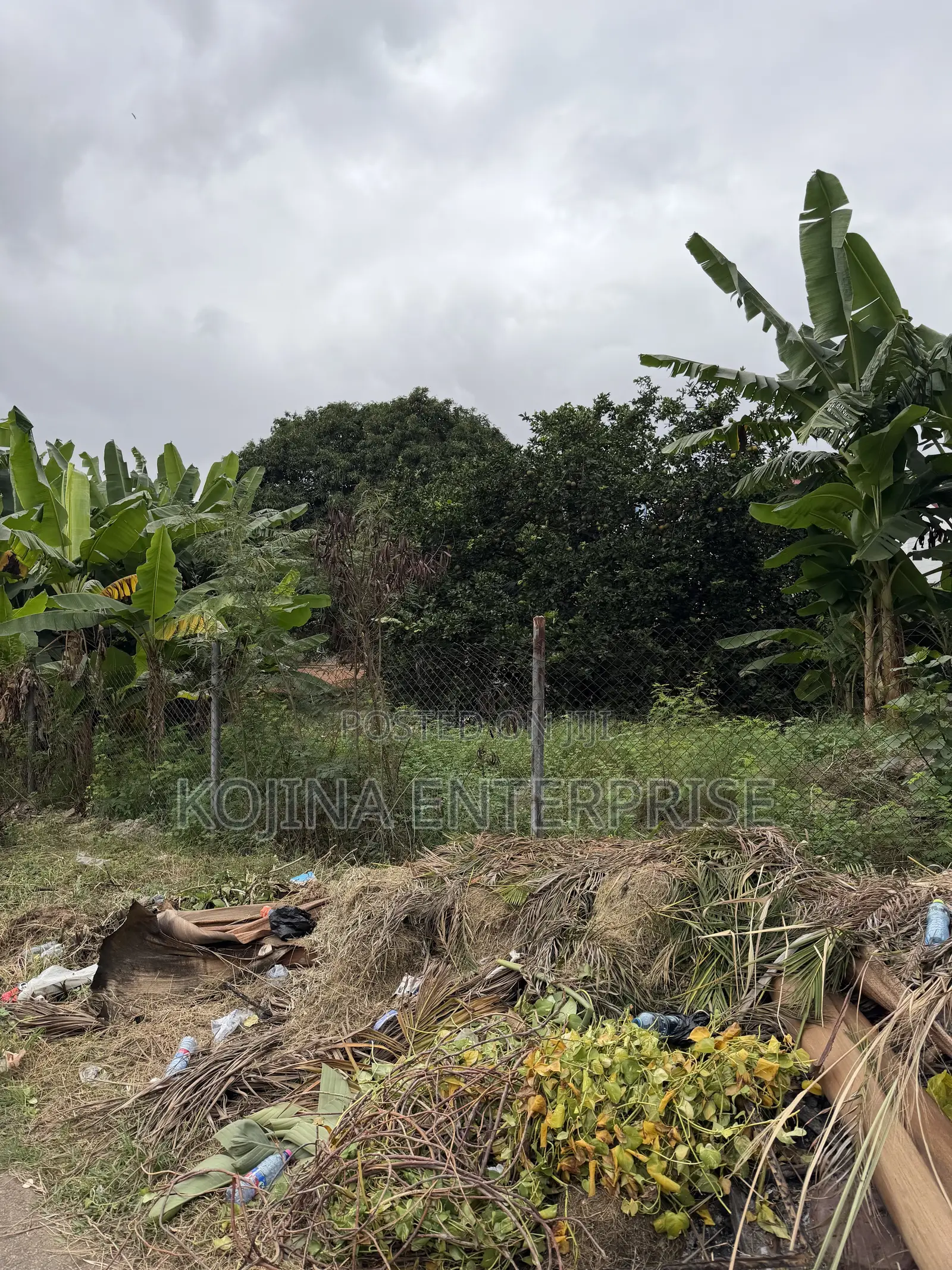 Prime Residential Plot for Sale – Danyame (Champion Road)