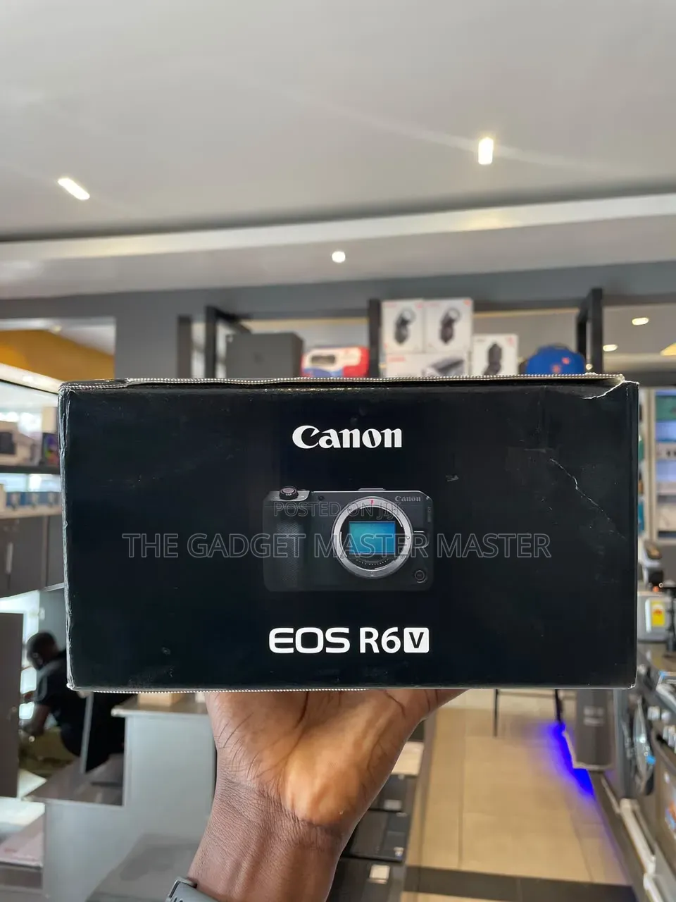 Canon Eos R6 v Mirrorless Camera