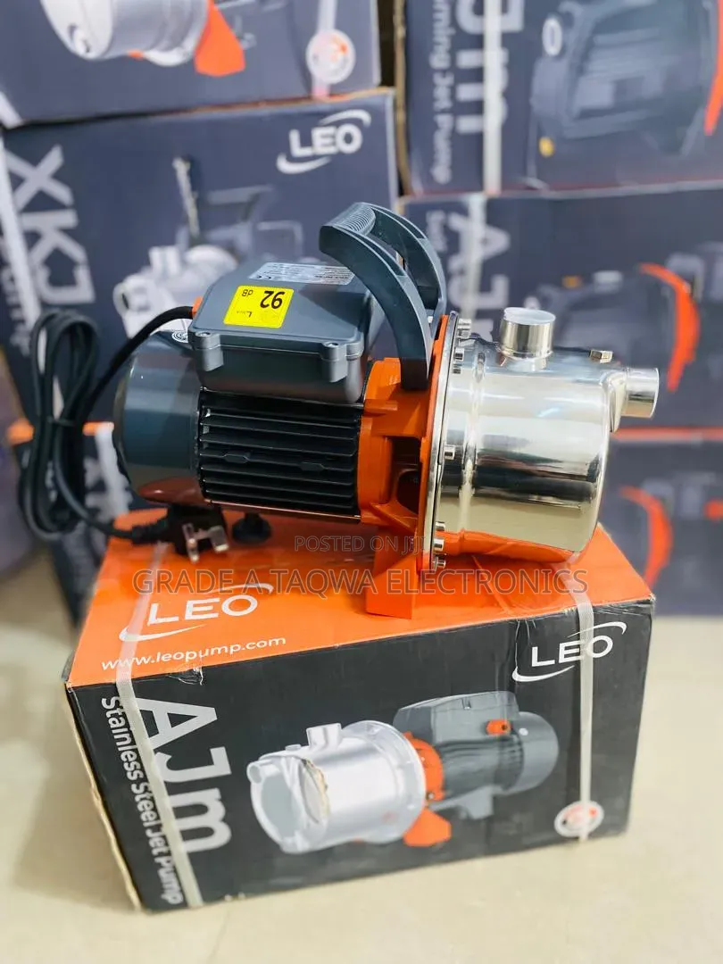 1100 Watts/1.5 Horsepower Leo Stainless Water Pump