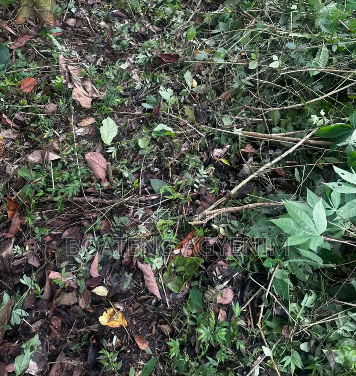 Half Plot for Sale