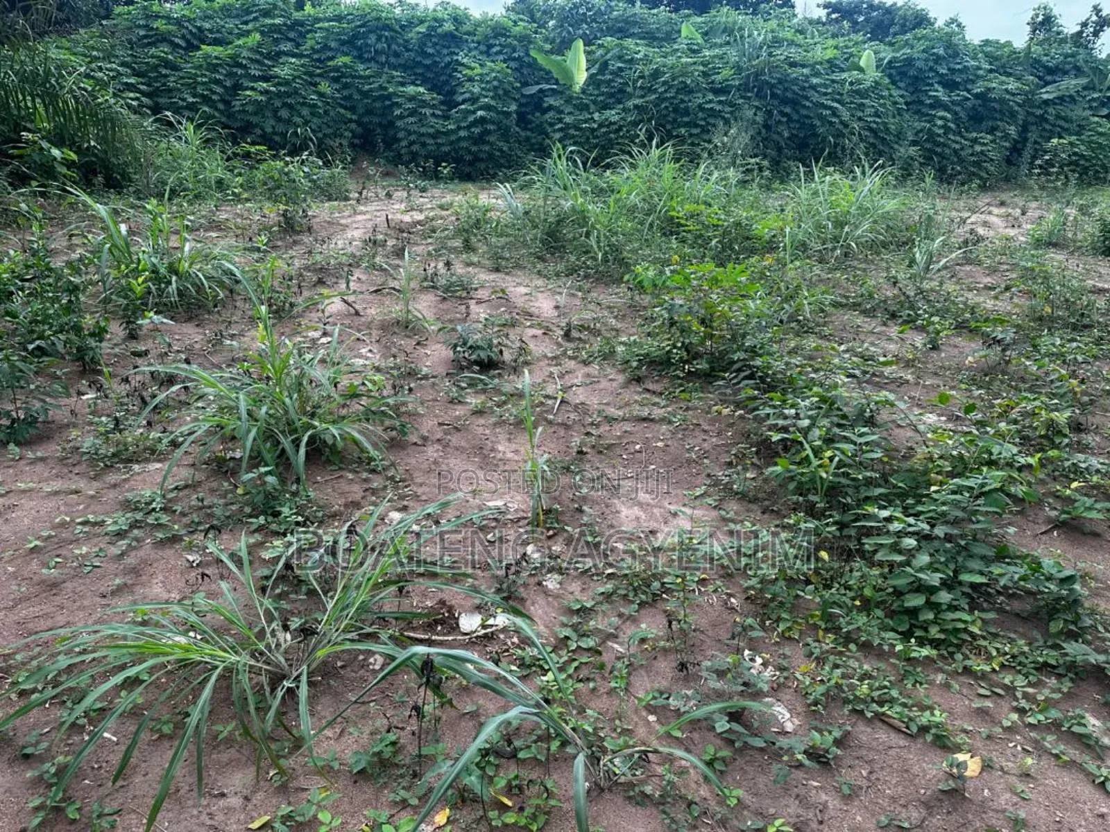Half Plot for Sale