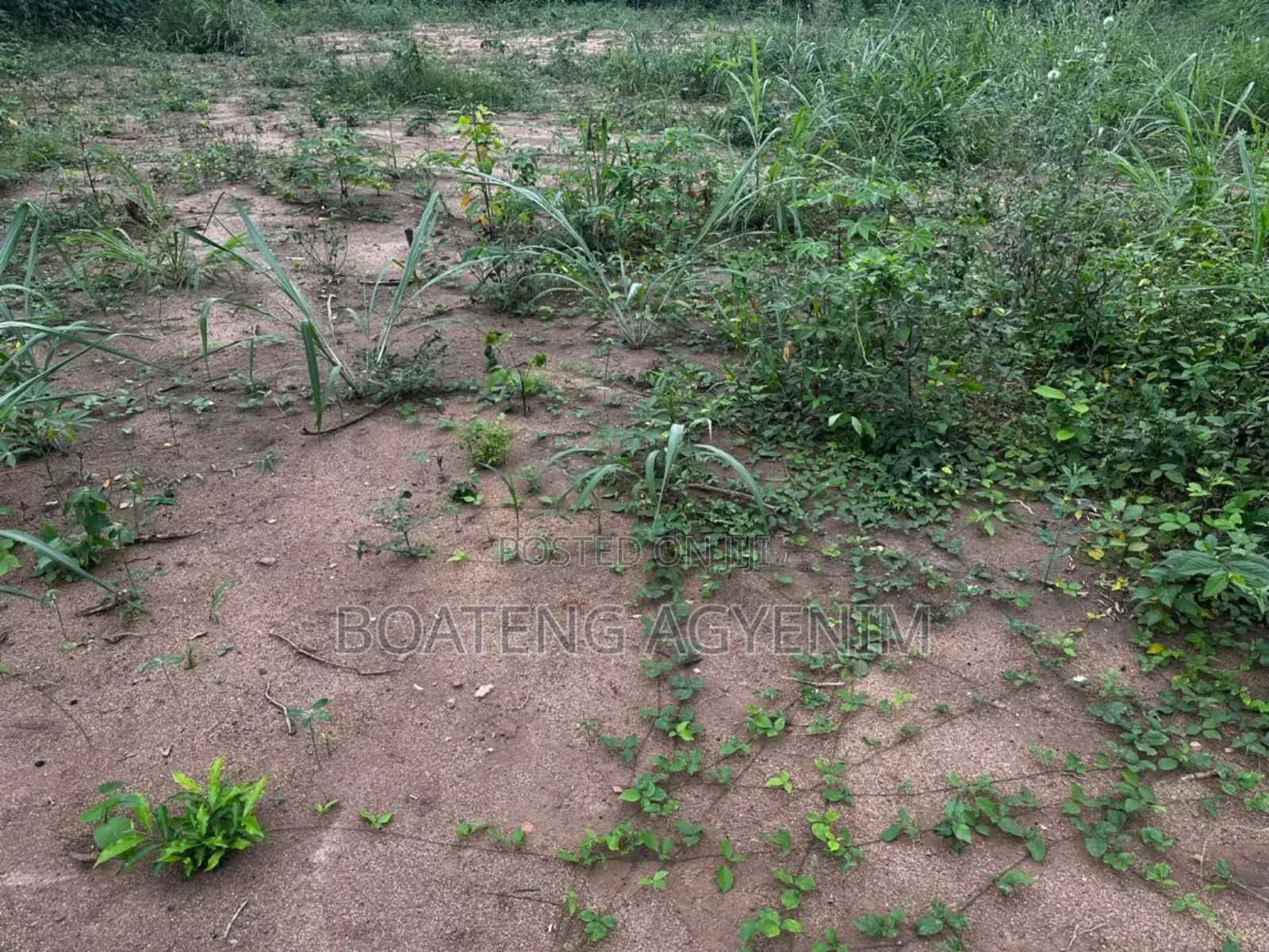 Half Plot for Sale