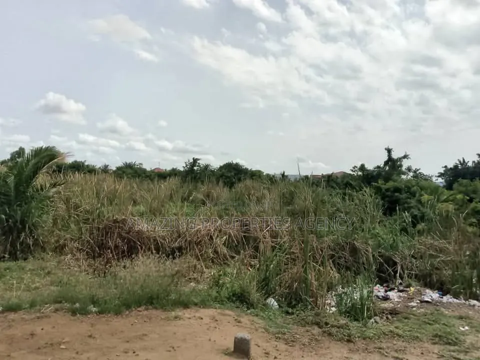 1.14 Acres of Prime, Main-Roadside, Shiashi