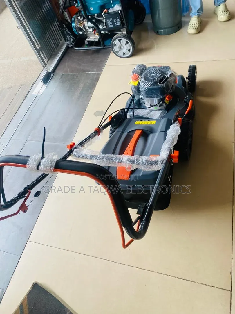 Self-Propelled Leo 5.5 Horsepower Lawn Mower