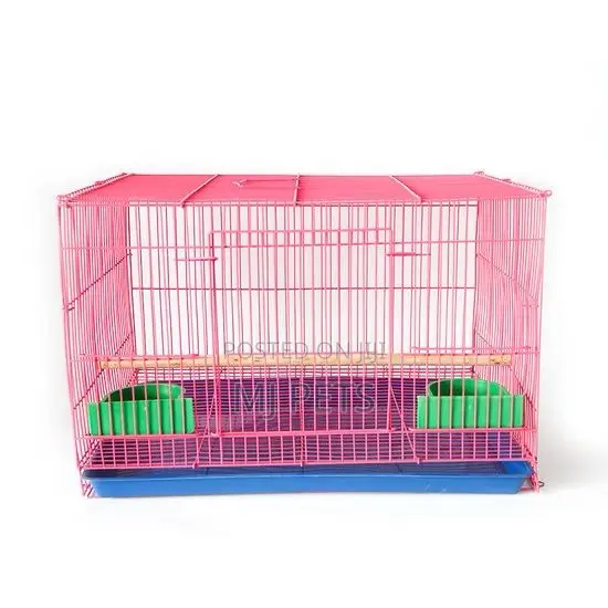 Parrot/Bird and Hamster Cage