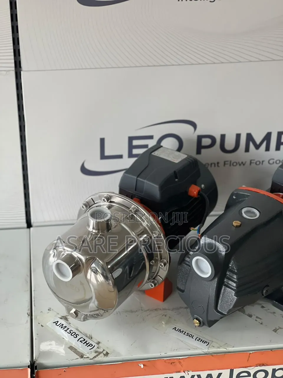 Leo Stainless Pumps
