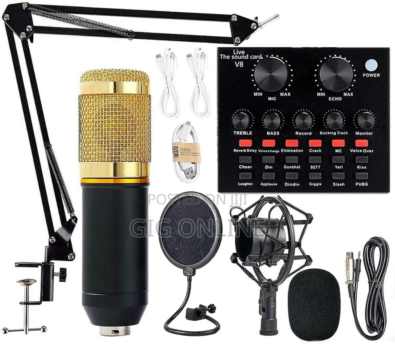 Studio Condenser Microphone