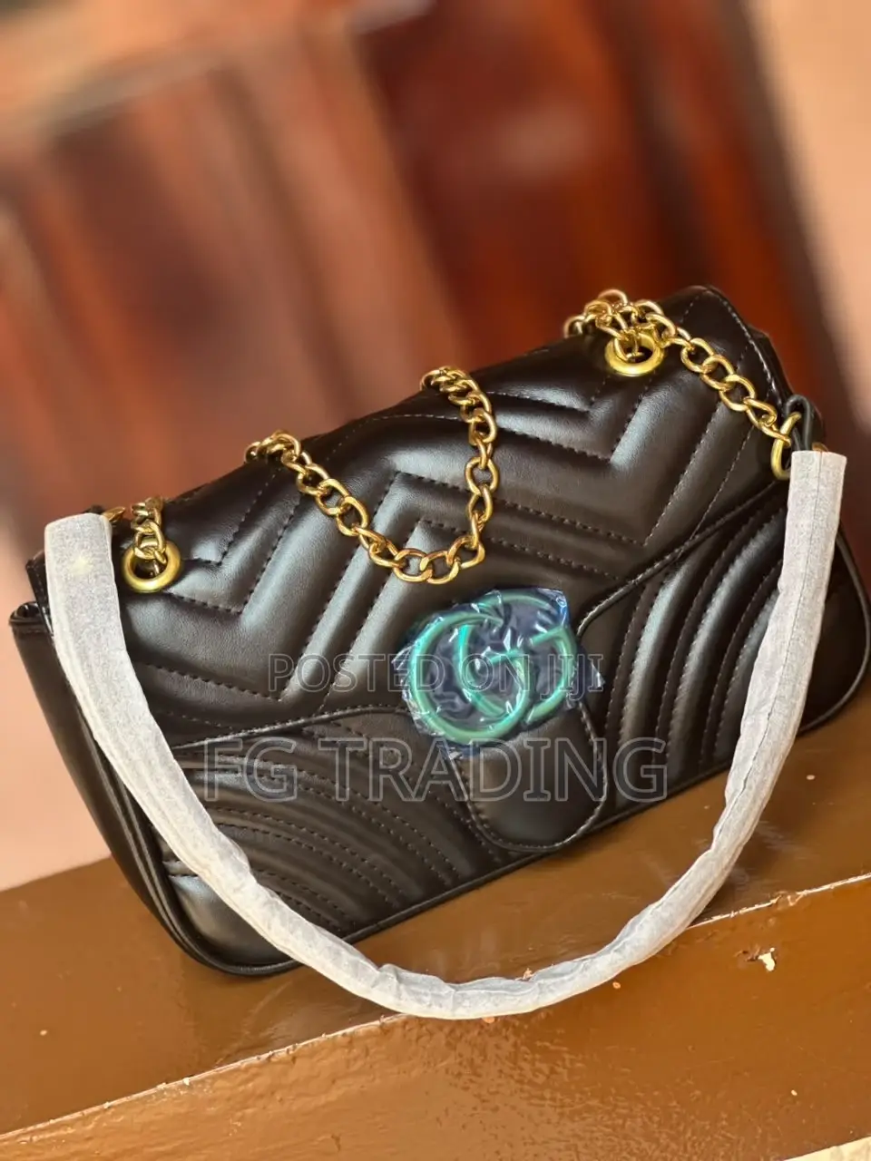 Gucci Bag _ Ladies Bag