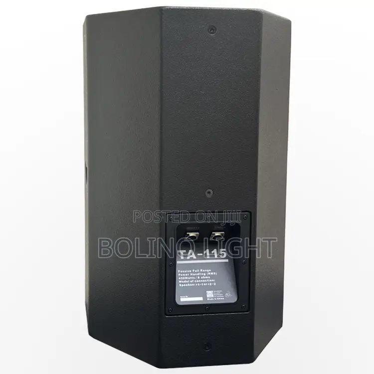 Single 15 Inch Speaker