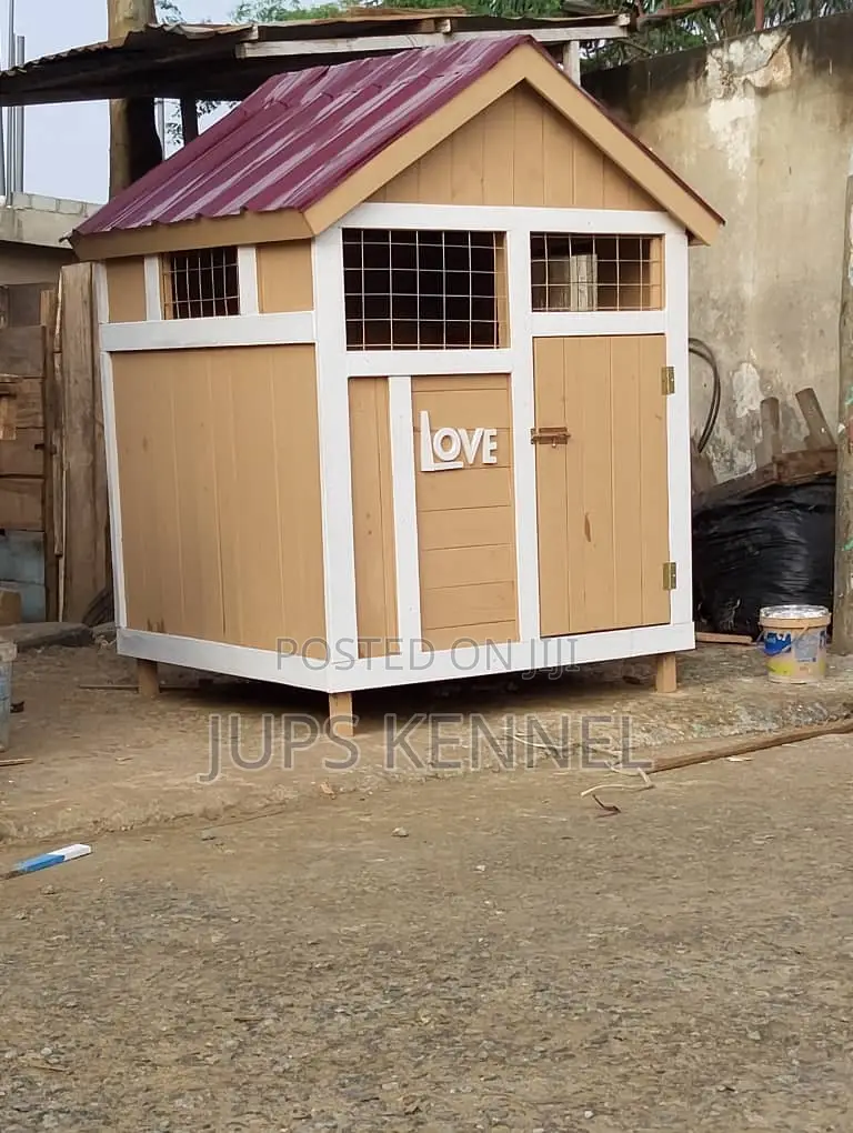 Pallet Dog House