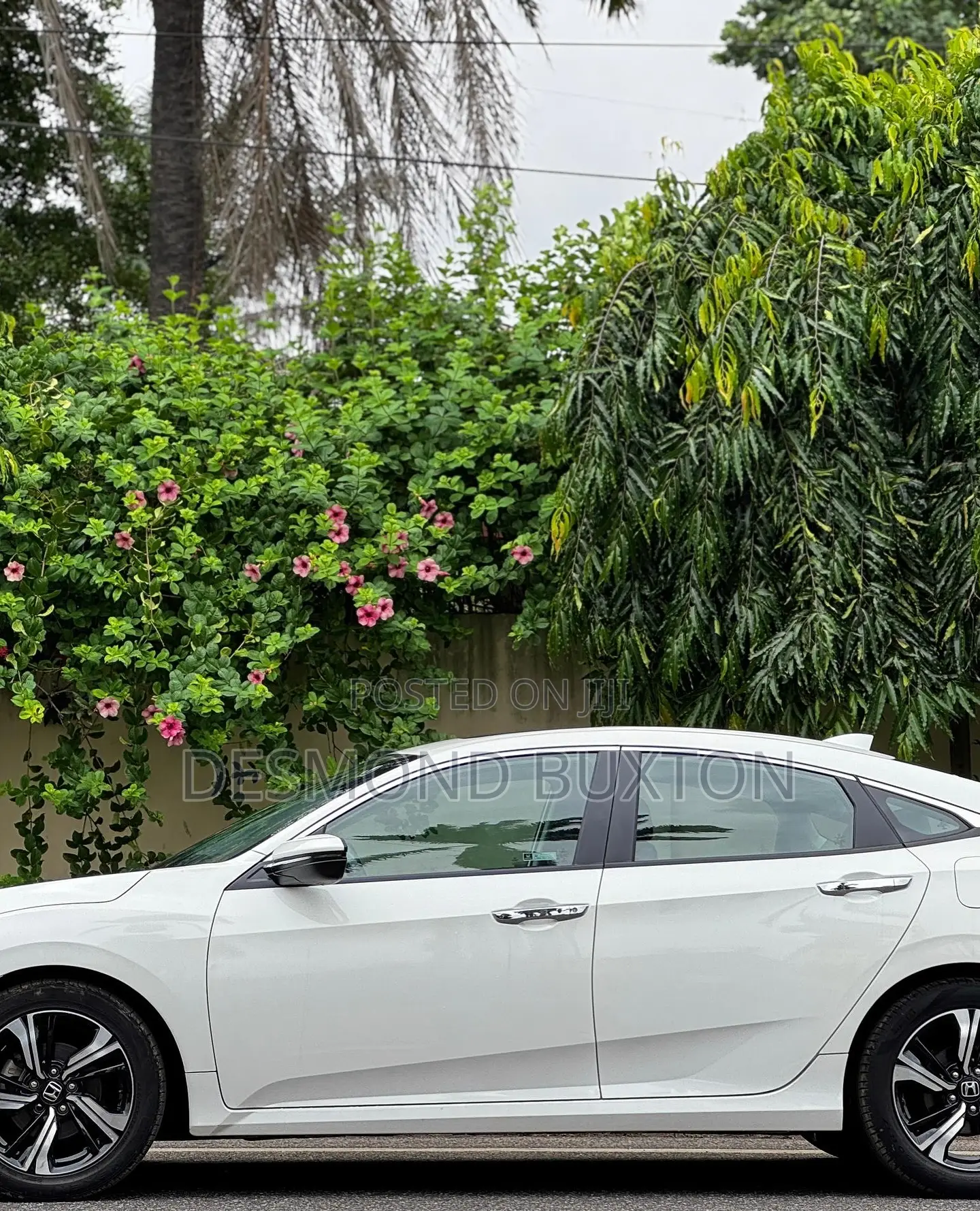 Honda Civic Touring 4dr Sedan (1.5L 4cyl) 2016 White