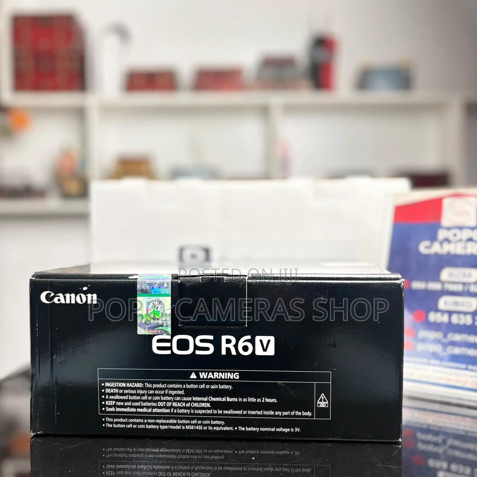 Canon EOS R6 v Mirrorless Camera