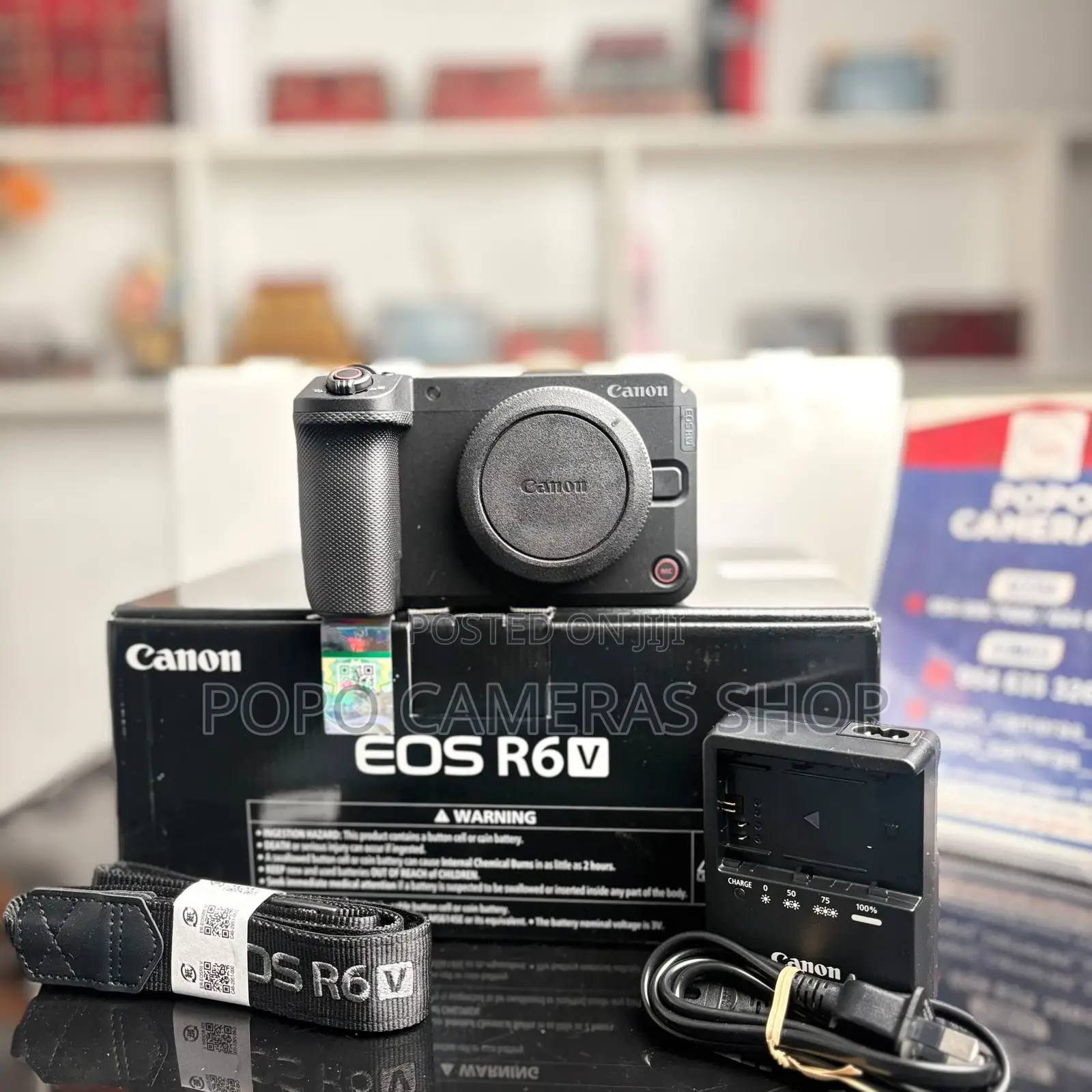 Canon EOS R6 v Mirrorless Camera