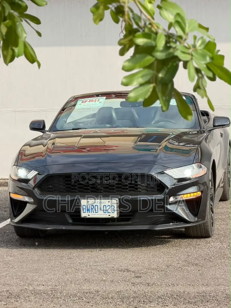 Ford Mustang EcoBoost Convertible 2019 Black