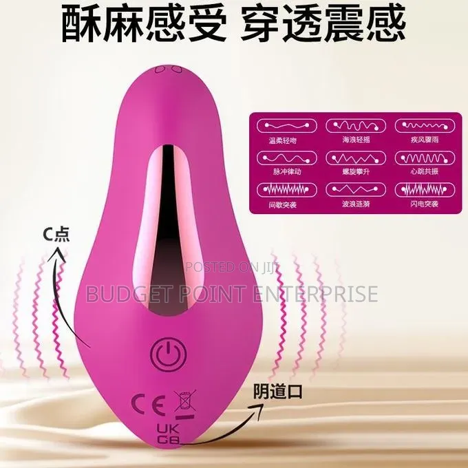 Rechargeable Vibrating Panties Underwear Vibrator + Remote Control