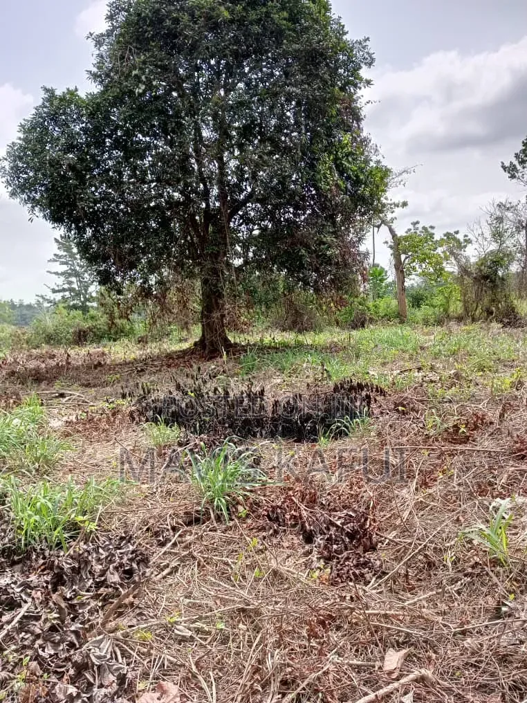 9 Plots of Land for Sale