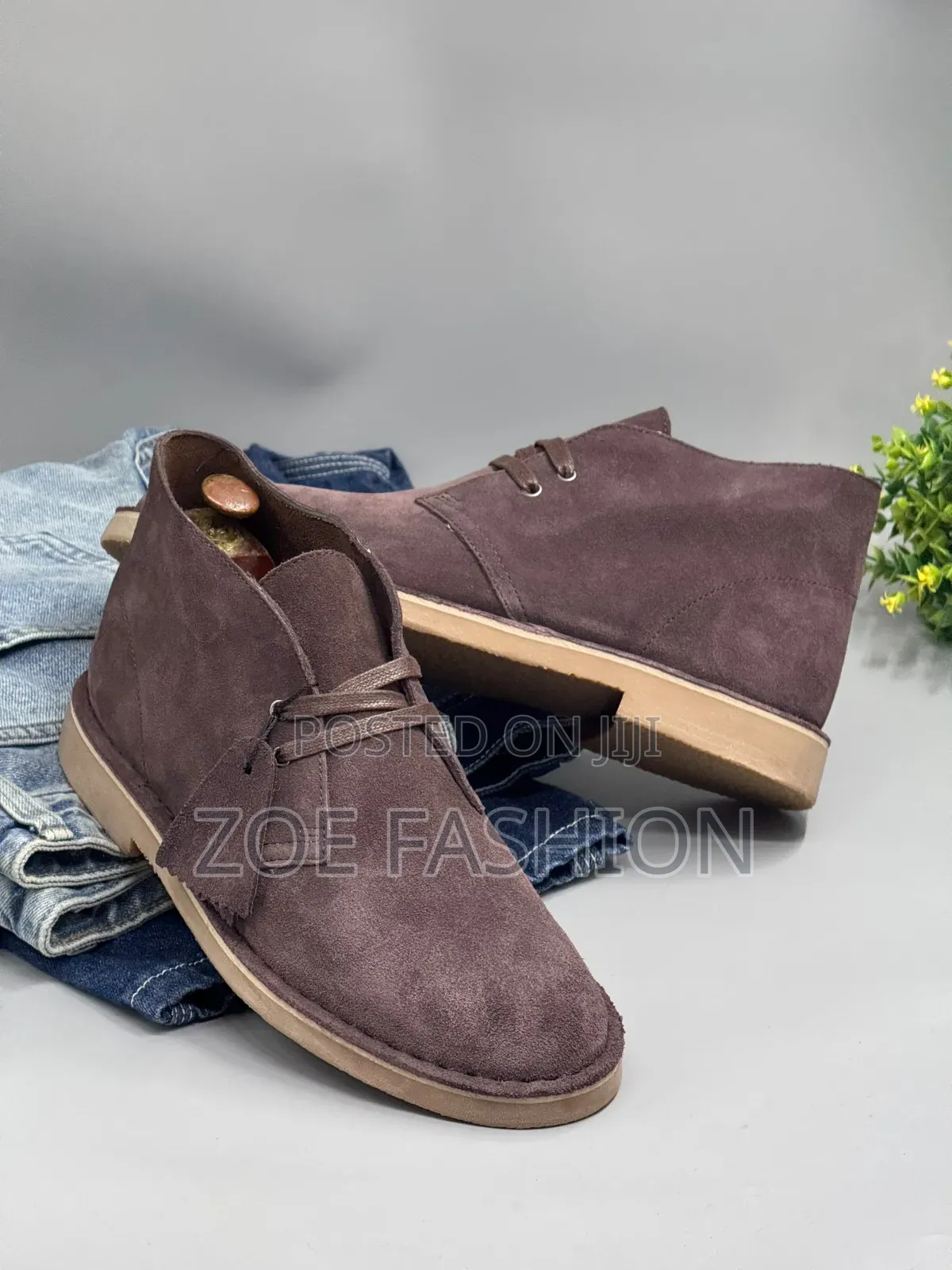 Mens Desert Shoe( Clarks)