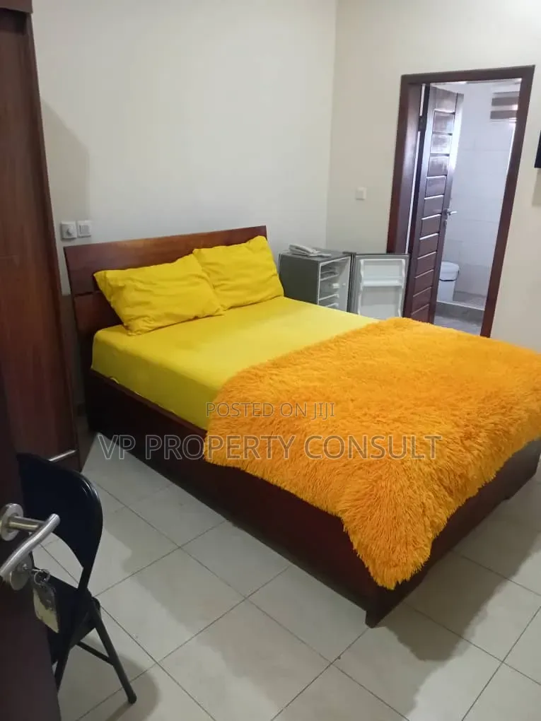 Furnished 1bdrm Apartment in Tseaddo for rent