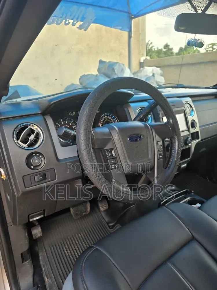 Ford F-150 2015 Silver