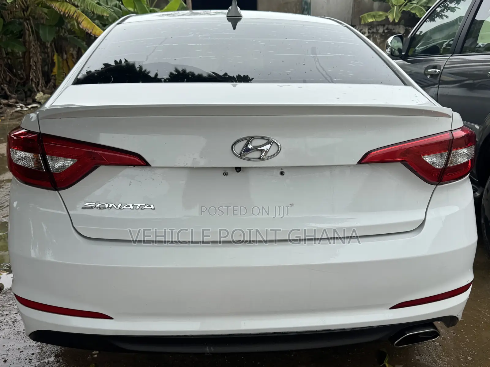 Hyundai Sonata ECO Sedan FWD (1.6L 4cyl 7A) 2016 White