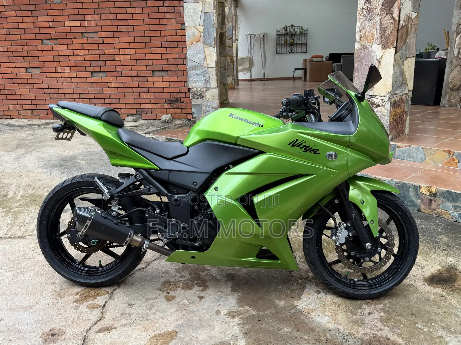 Kawasaki Ninja 300 2014 Green
