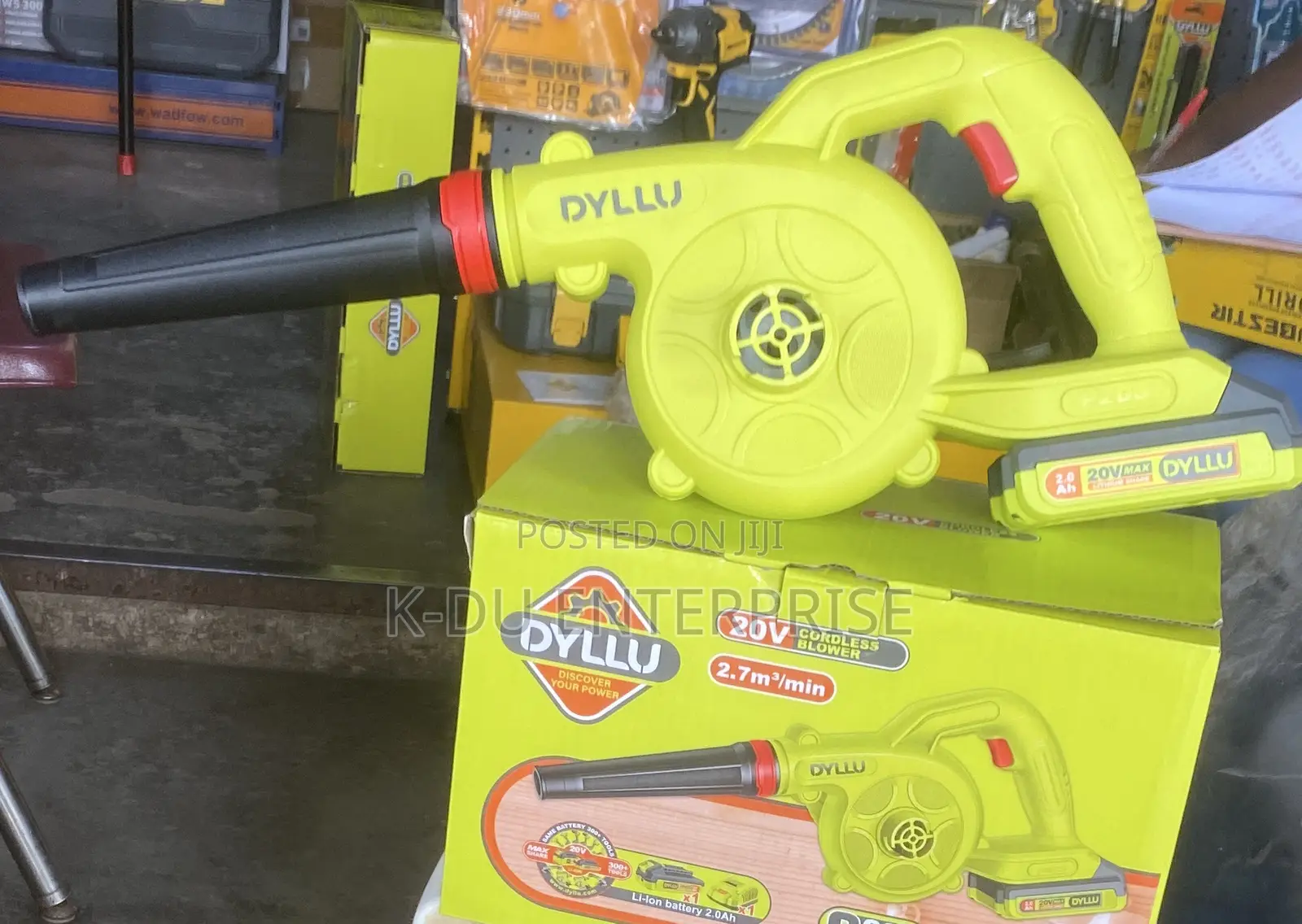 Dyllu Cordless Blower 20V