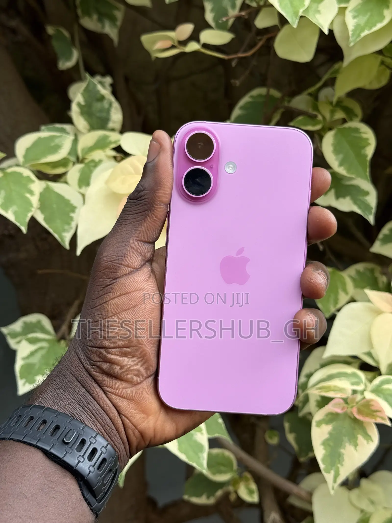 Apple iPhone 16 128 GB Pink