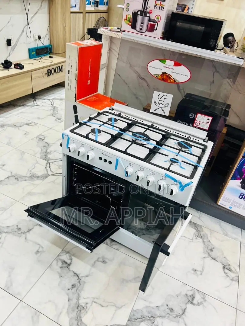 Get Mediatech 5 Gas Burner Oven and Grill Auto Rotisserie