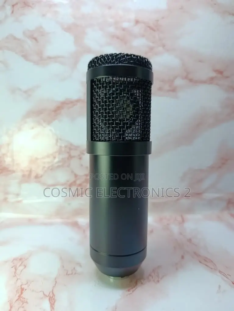 Professional Studio Condenser Microphone for Recording Streaming,