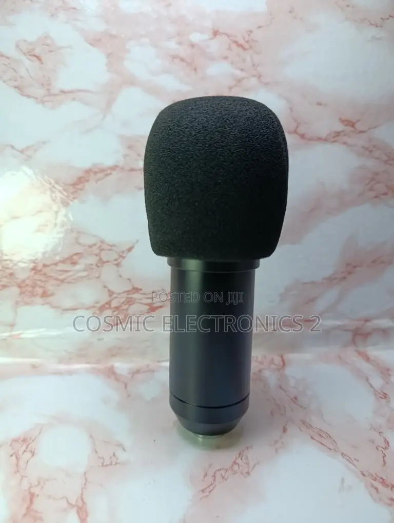 Professional Studio Condenser Microphone for Recording Streaming,