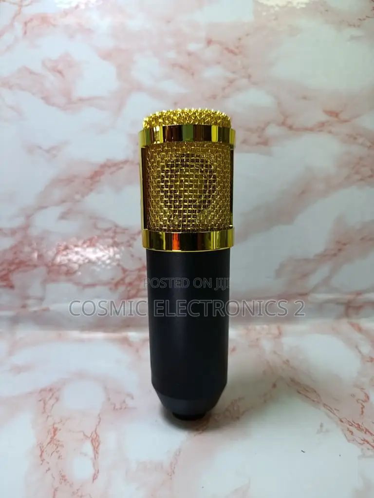 Studio Recording Condenser Microphone With Professional Audio Quality