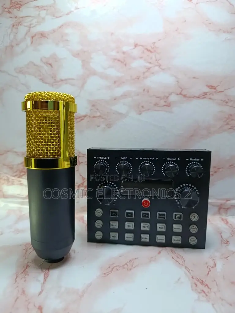 Studio Recording Condenser Microphone With Professional Audio Quality