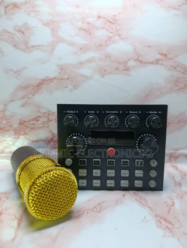 Studio Recording Condenser Microphone With Professional Audio Quality