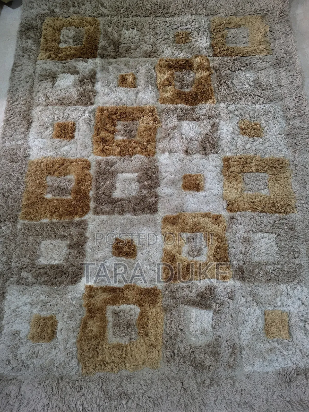 Modern Rug/ Accent Piece I in Living Room