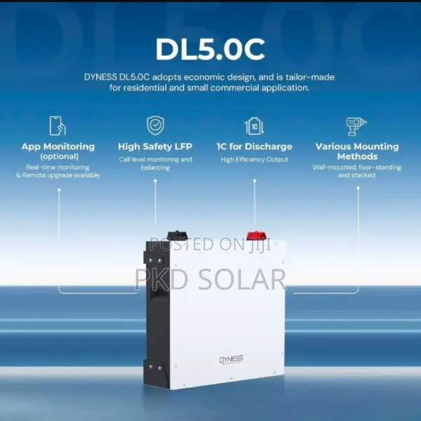 Dyness Lithium 5.12kwh 48v 100ah