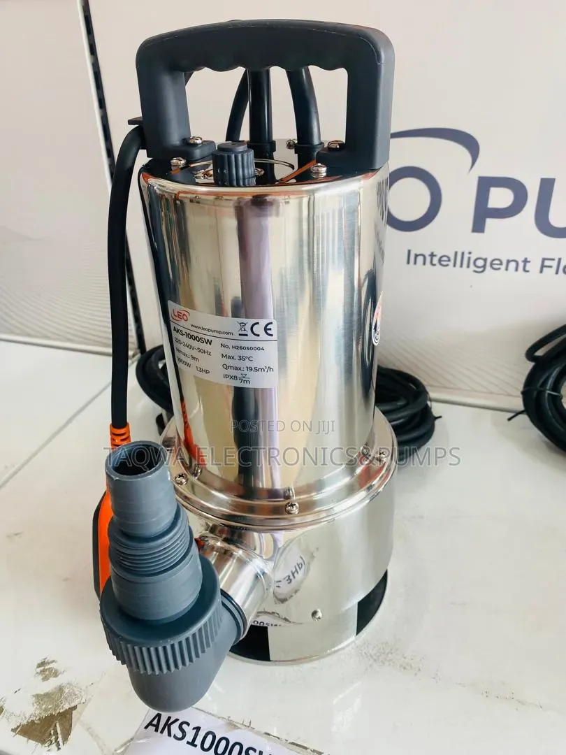 Leo Efficiently 1.3hp Stainless Submersible Pump