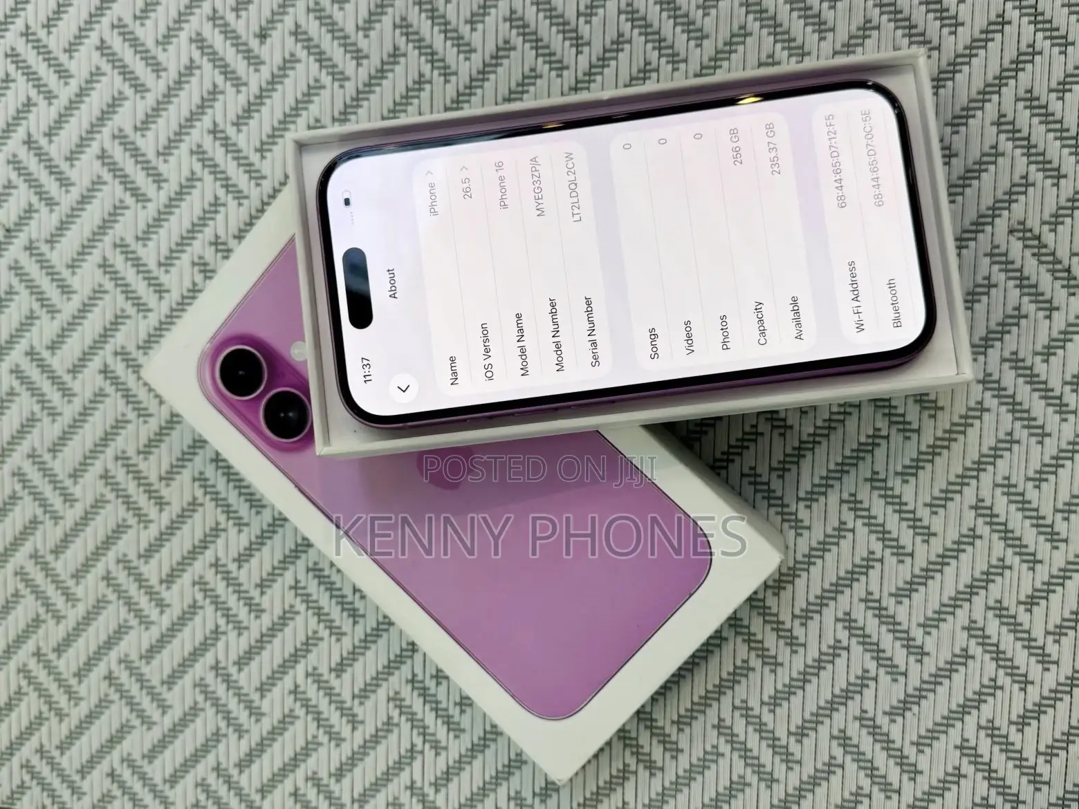 Apple iPhone 16 Plus 256 GB Pink