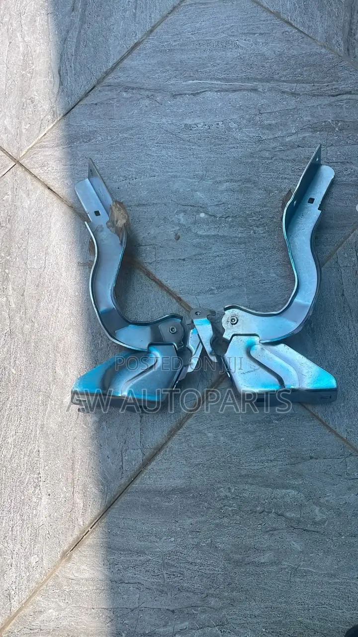 Nissan Sentra 2013 Hood Hinge