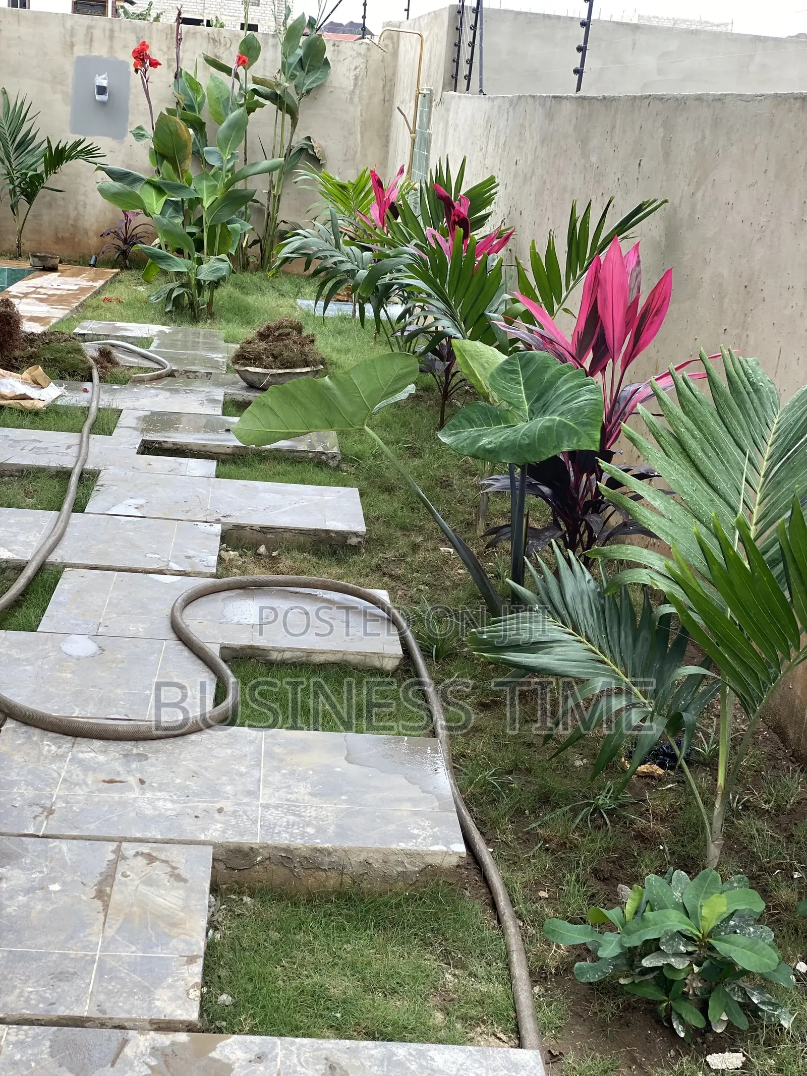 Garden and Landscaping
