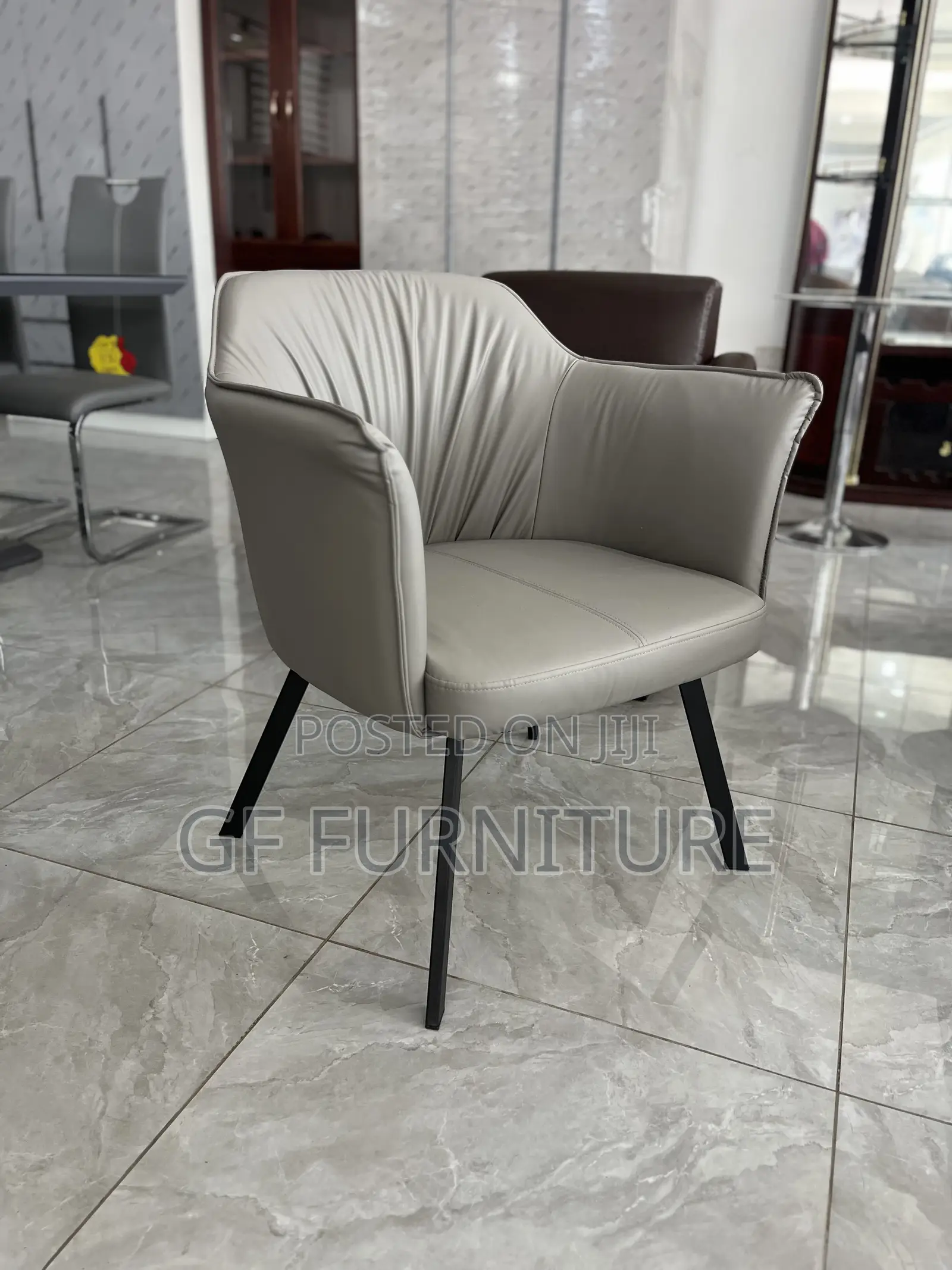 Accent Chair/Balcony Chairs/Offices Chair