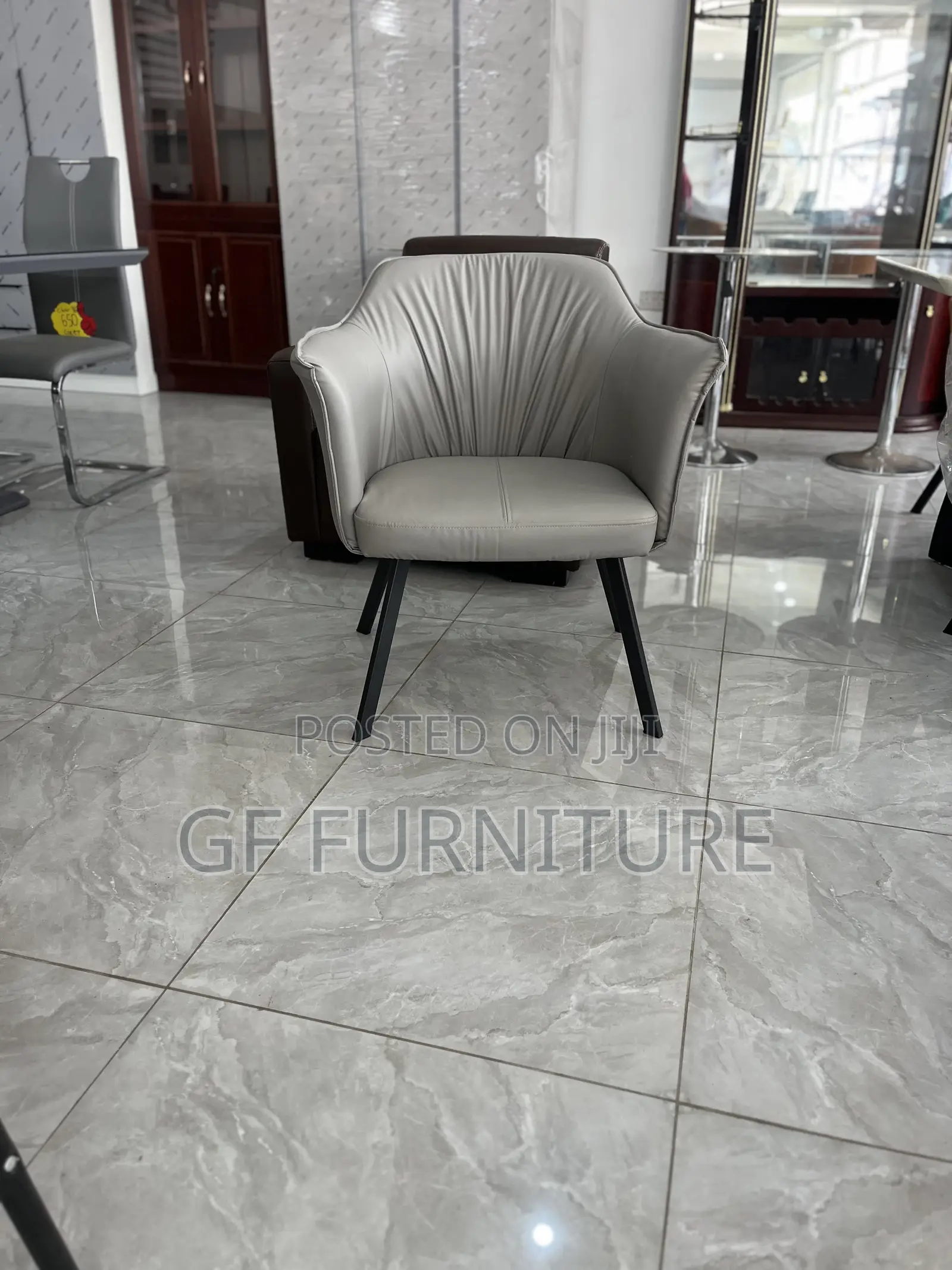 Accent Chair/Balcony Chairs/Offices Chair