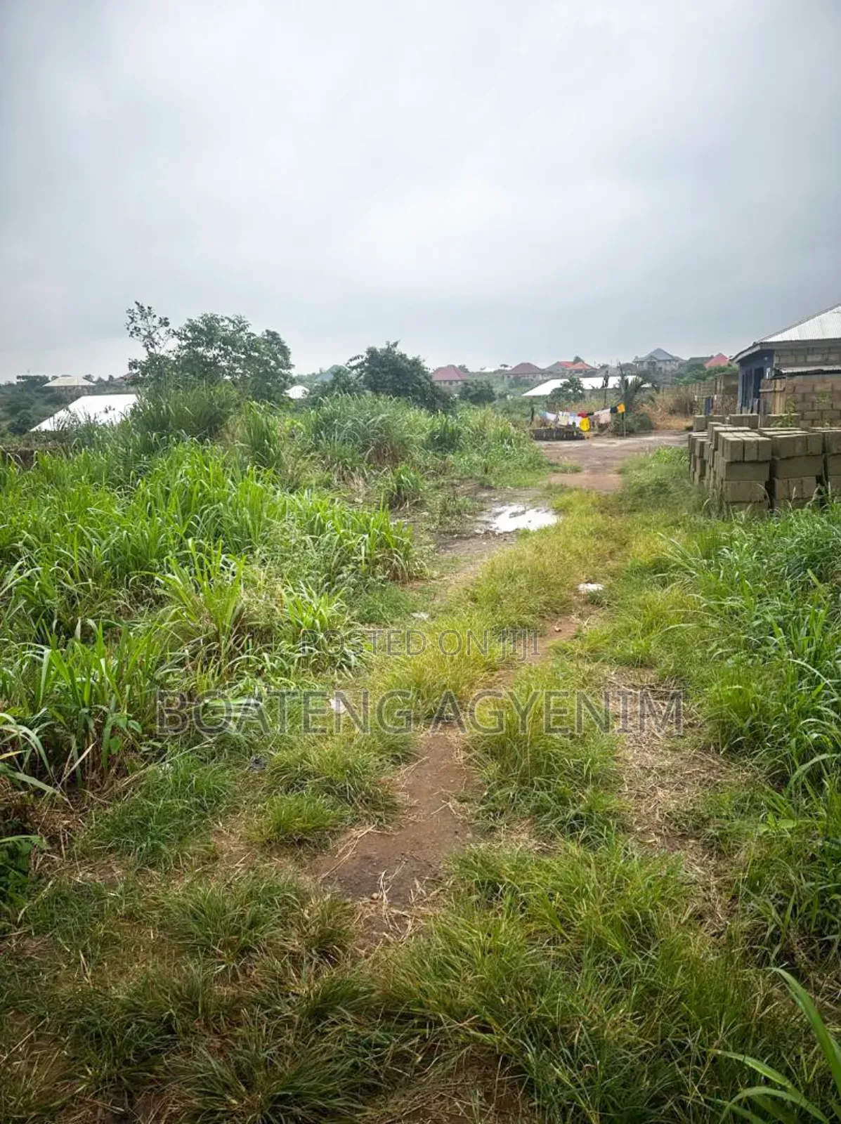 Half Plot for Sale at Asonomaso Nkwanta SAFO