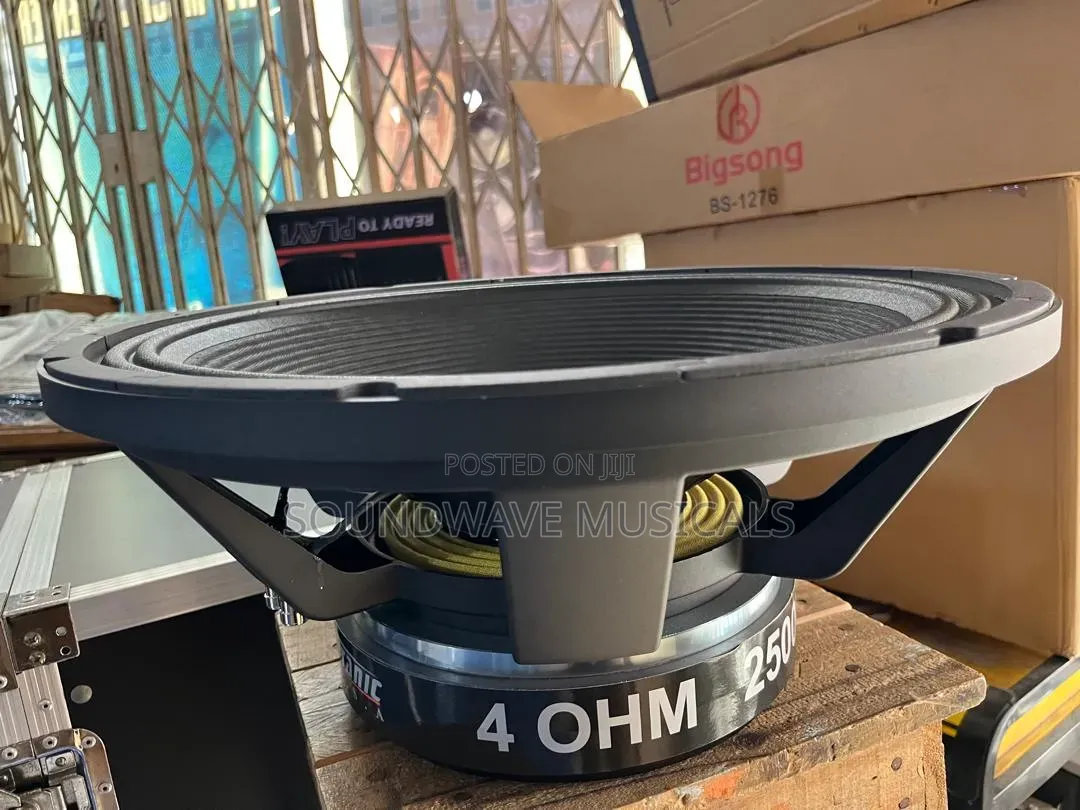 GLS Speaker 2500watt