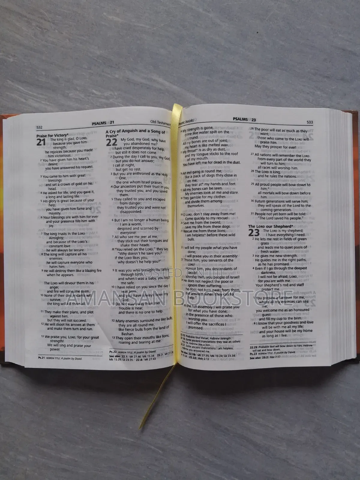 Illustrated Good News Bible With Words of Christ in Red (Medium)