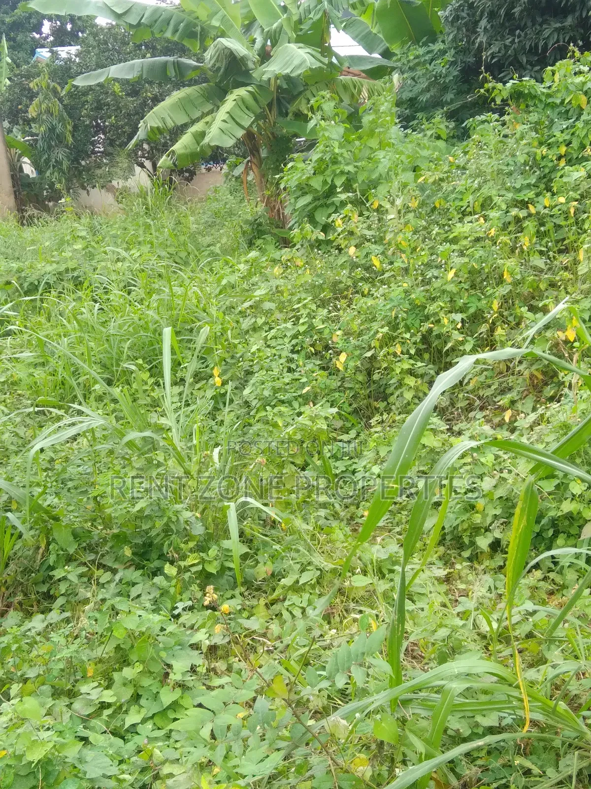 Land for Sale at Ofankor-Asofan