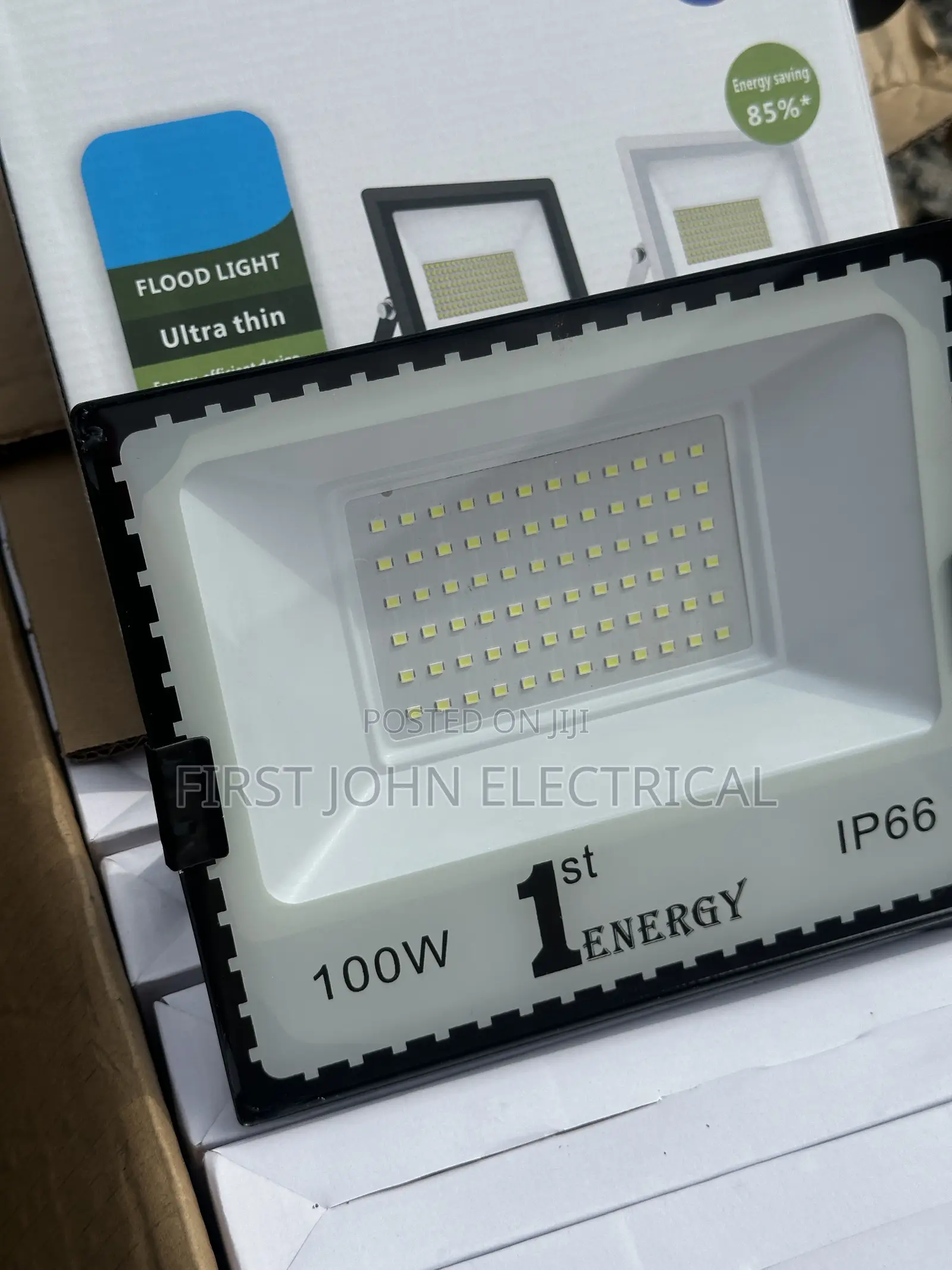 100 Watt Flood Light