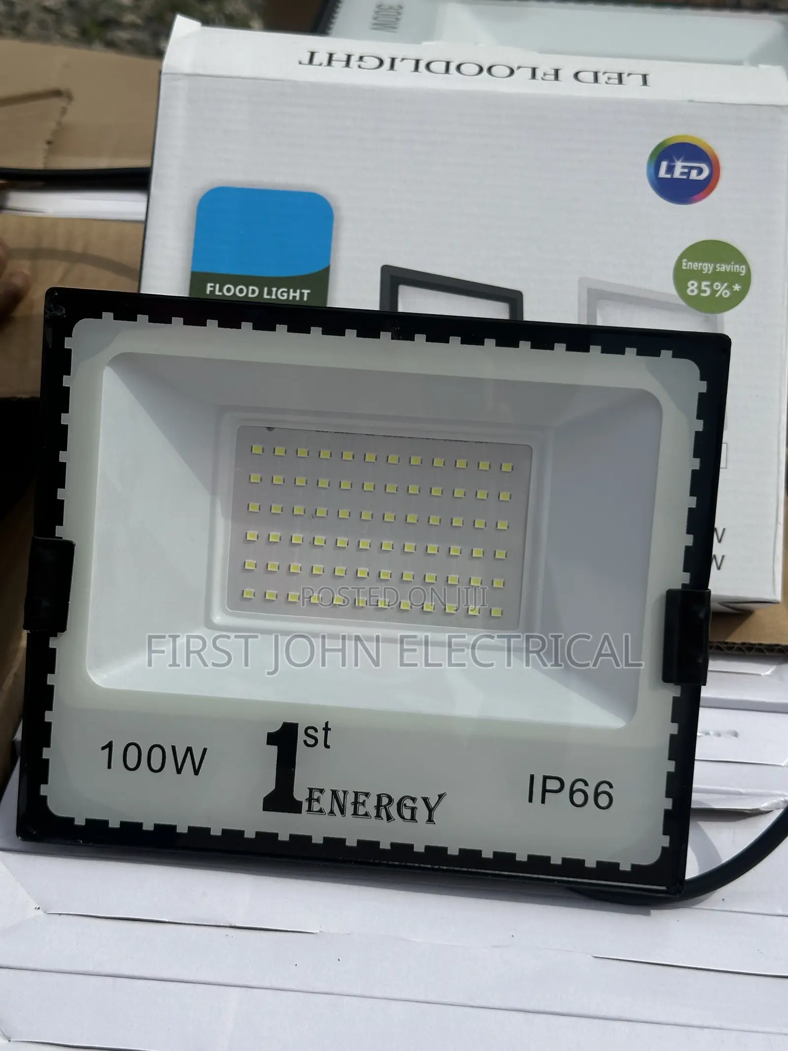 100 Watt Flood Light