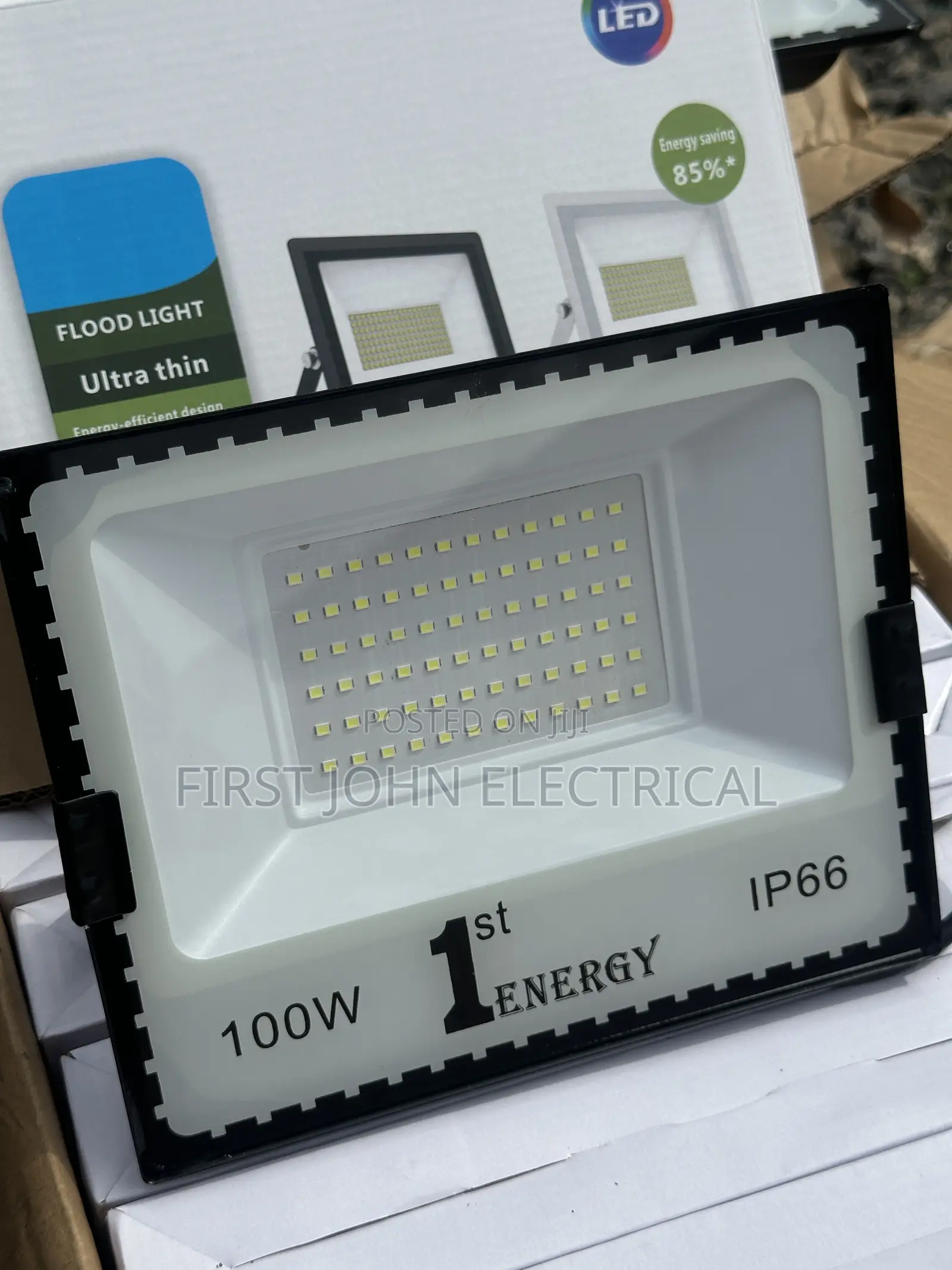 100 Watt Flood Light