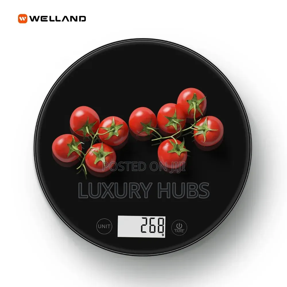 Stainless 0.1 to 5kg Kitchen Scale