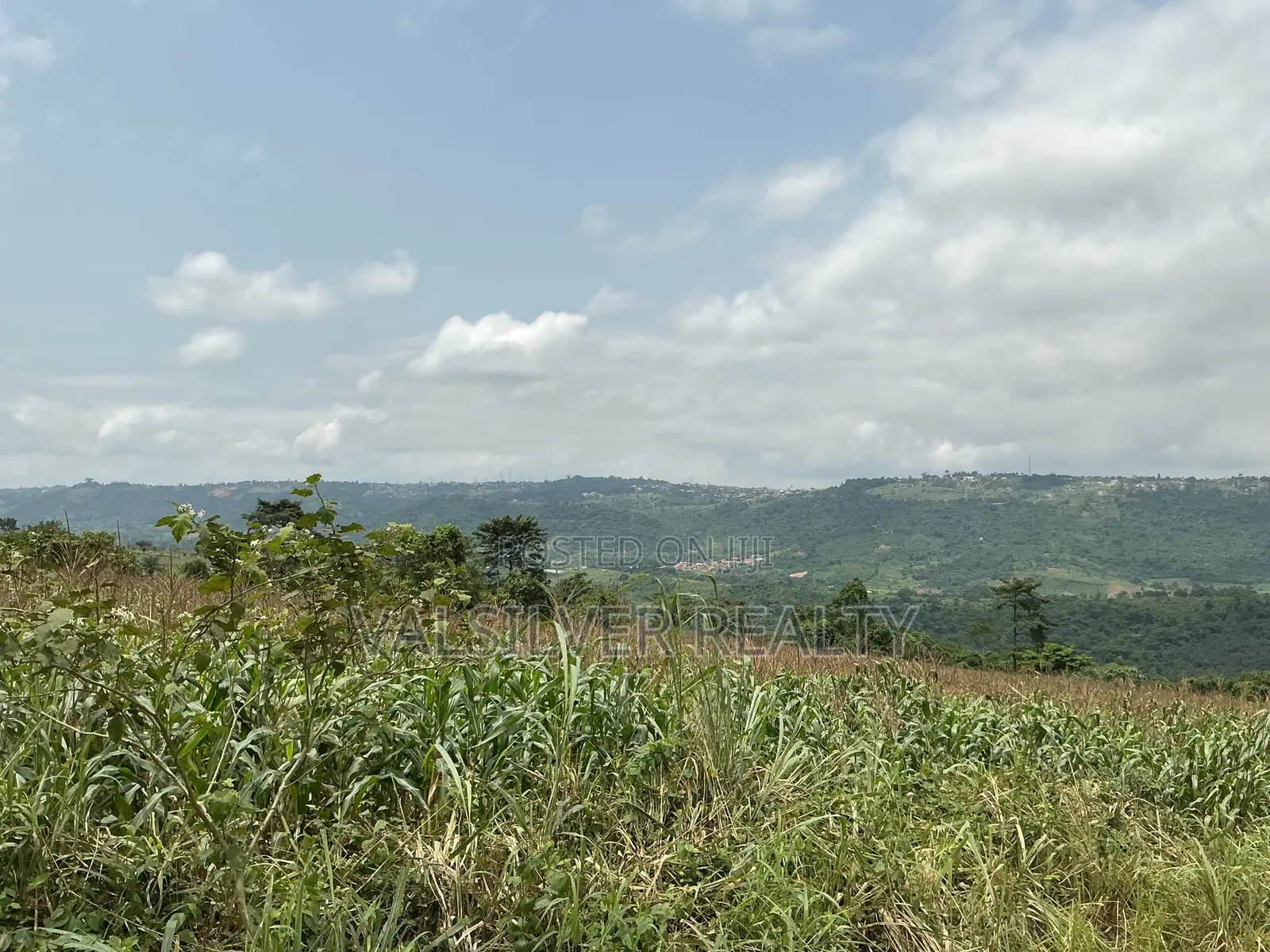 2 Registered Plots by Main Road for Sale-Pokhills